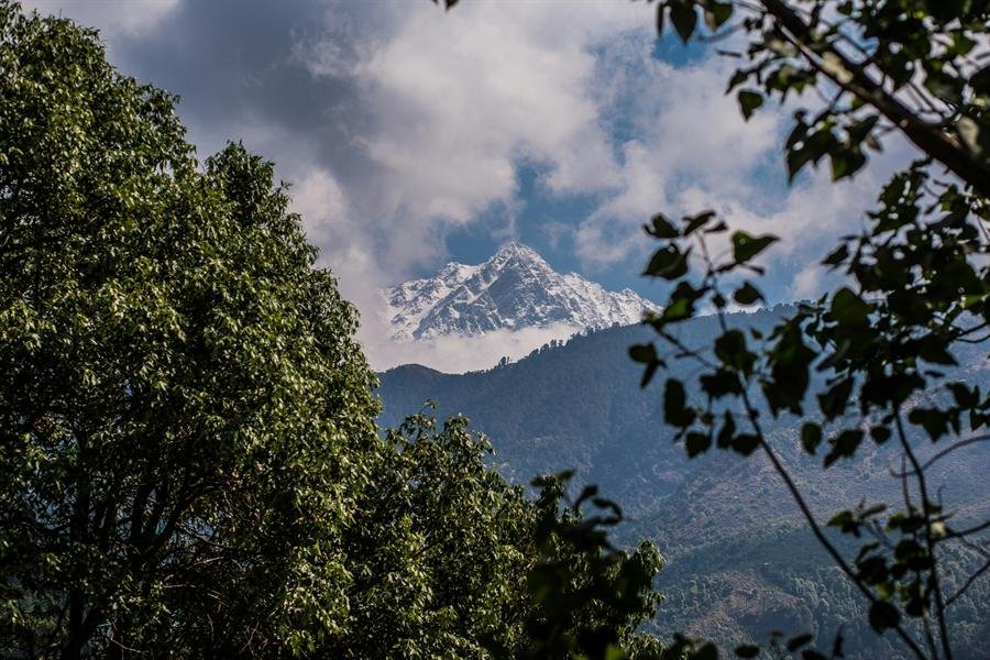 Village rooftops in Kangra district