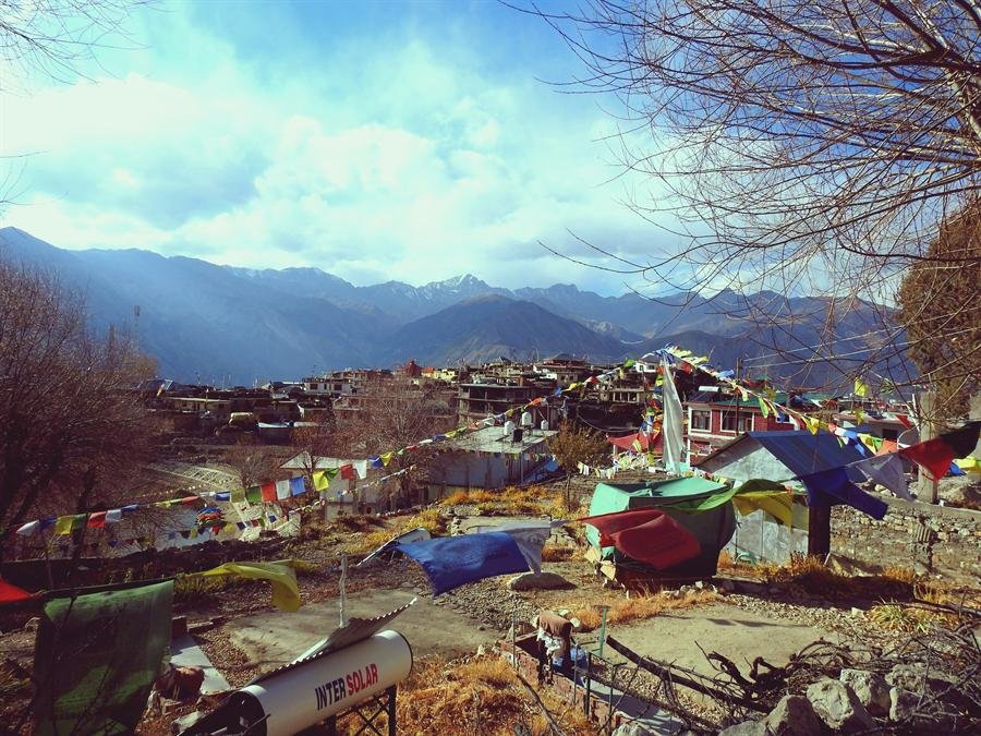 Apple orchards on the Kinnaur hillside