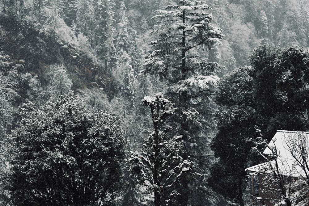River-cut valley of Kullu