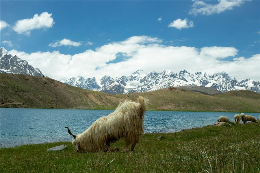 Cold desert landscape of Lahaul-Spiti