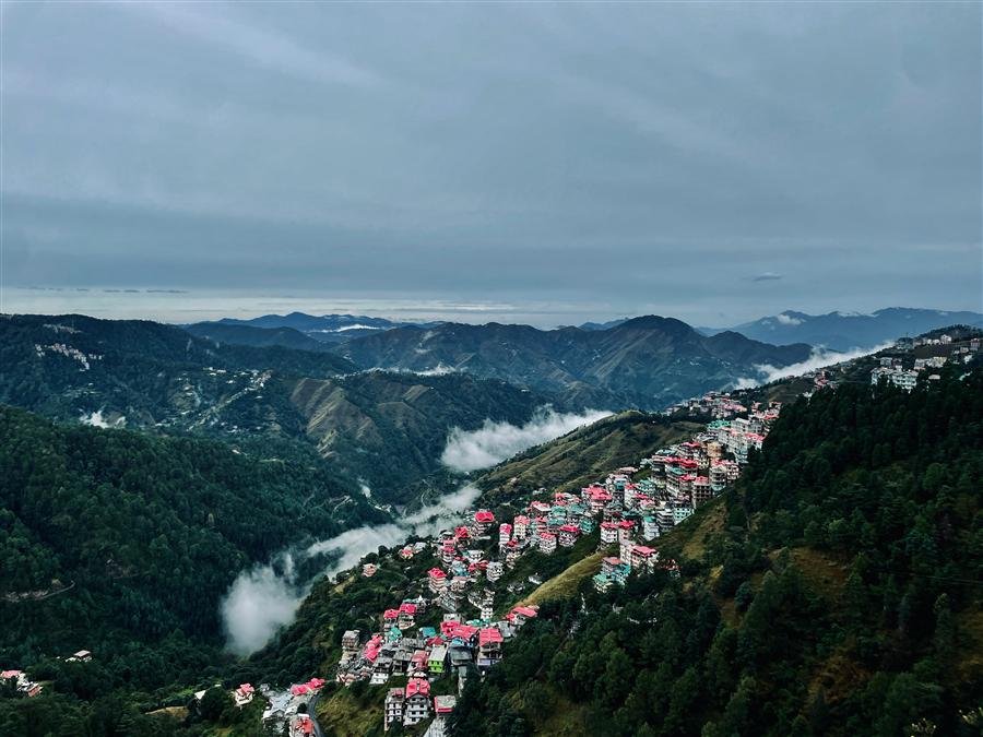 Forested ridge above Shimla