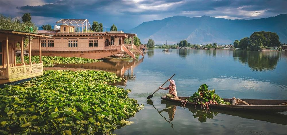Shikara boat crossing Dal Lake in Srinagar