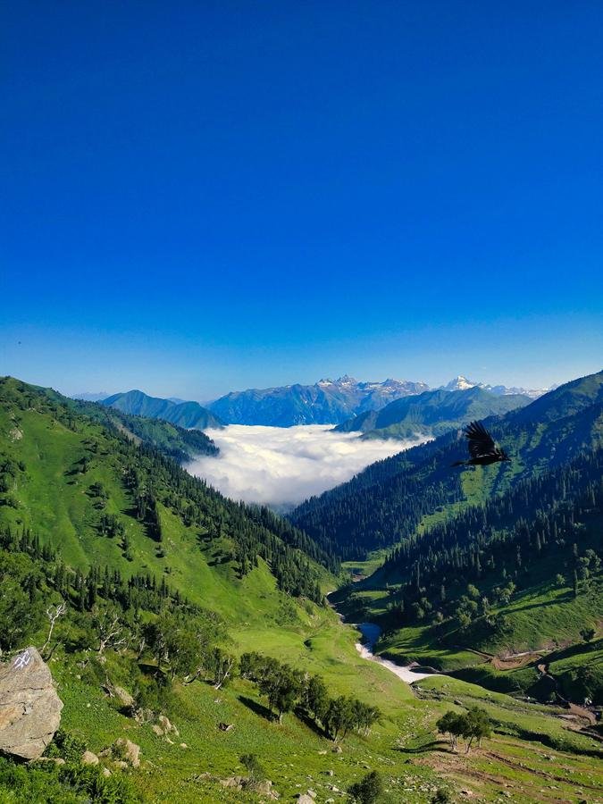 Green mountains under a clear sky in Jammu and Kashmir