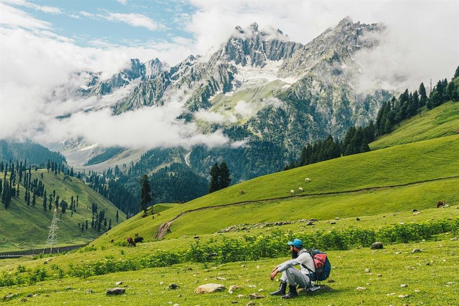 Green meadow beneath snow-covered mountains in Kashmir
