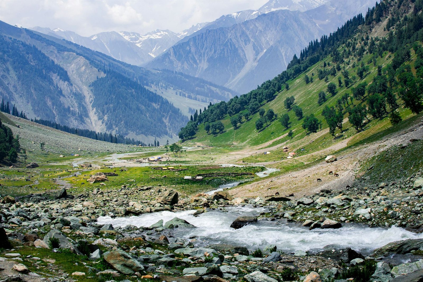 Mountain valley with a glacial stream in Sonamarg, Kashmir