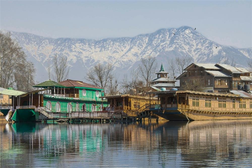 Carved wooden houseboats moored on Dal Lake, Srinagar
