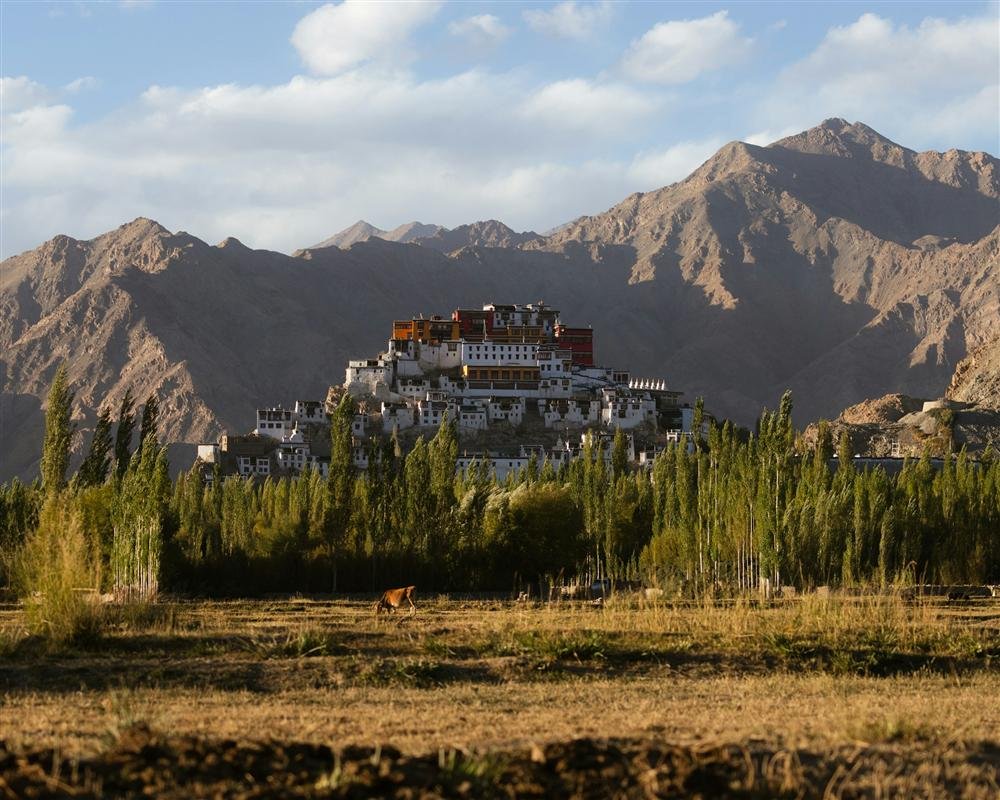 Thiksey Monastery's tiered gompa buildings above Leh